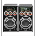 Double Karaoke de 10 pouces avec haut-parleur actif de Bluetooth USB FM